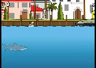 Miami Shark 